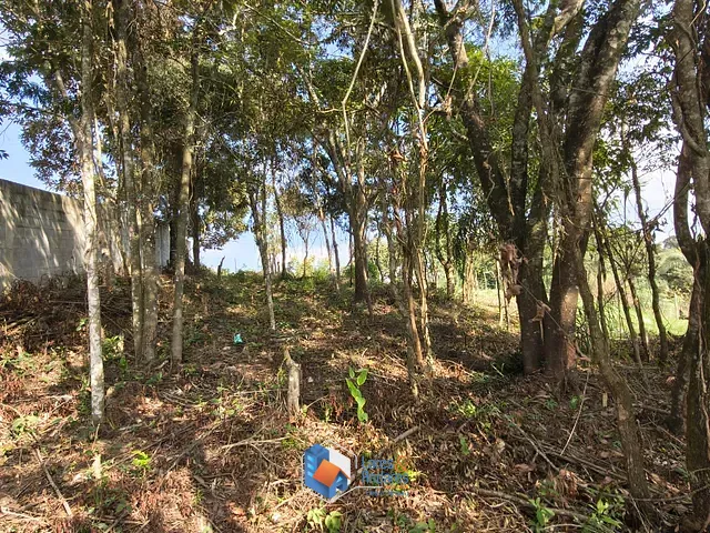 Terreno com 650m² 1 quarto e 1 banheiro, à venda, no bairro Santa Inês em Mairiporã
