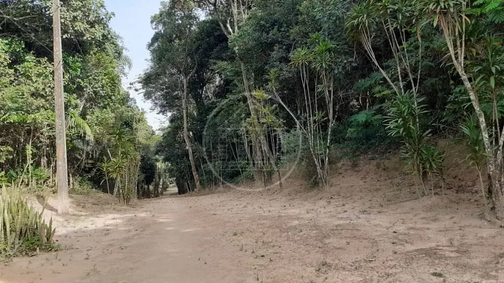 Terreno, 25 hectares - Foto 15