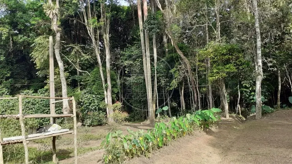Terreno, 25 hectares - Foto 1