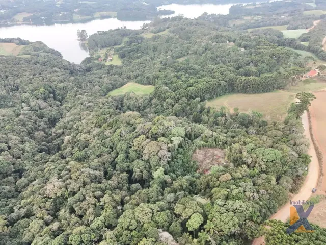 Terreno à venda, no bairro Passauna em Campo Largo