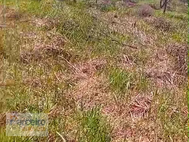 Terreno com 3517m², à venda, no bairro Rio Abaixo em Atibaia