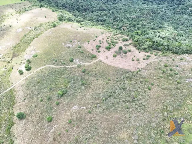Terreno à venda, no bairro Balsa Nova em Curitiba