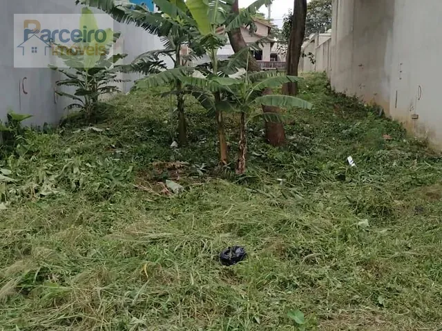 Terreno com 500m², à venda, no bairro Parada XV de Novembro em São Paulo