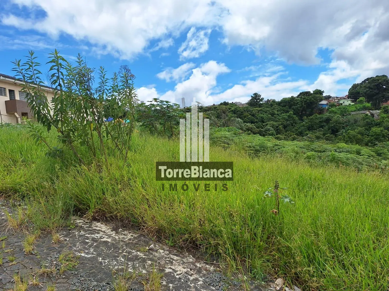 Terreno, 348 m² - Foto 3