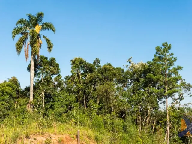 Terreno à venda, no bairro Passauna em Campo Largo