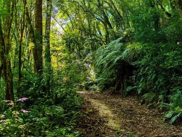 Terreno à venda, no bairro Passauna em Campo Largo