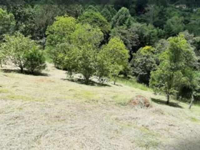 Foto do Terreno - Terreno à venda, 20000 m² por R$ 1.180.000,00 - Vila Santa Bárbara - São Francisco Xavier/SP | INDEPENDENCE NEGOCIOS IMOBILIARIOS LTDA