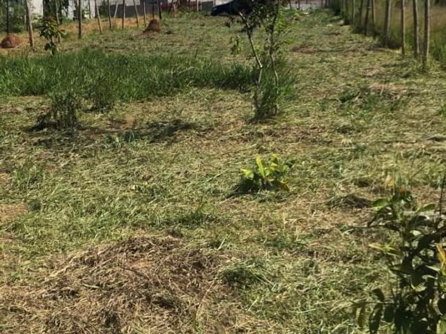 Foto do Terreno - Terreno à venda, 525 m² por R$ 130.000 - Conjunto Residencial Santo Ângelo - Mogi das Cruzes/São Paulo | Pitale Imóveis Ltda.