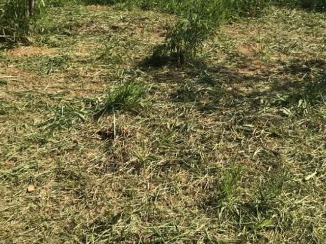 Foto do Terreno - Terreno à venda, 525 m² por R$ 130.000 - Conjunto Residencial Santo Ângelo - Mogi das Cruzes/São Paulo | Pitale Imóveis Ltda.