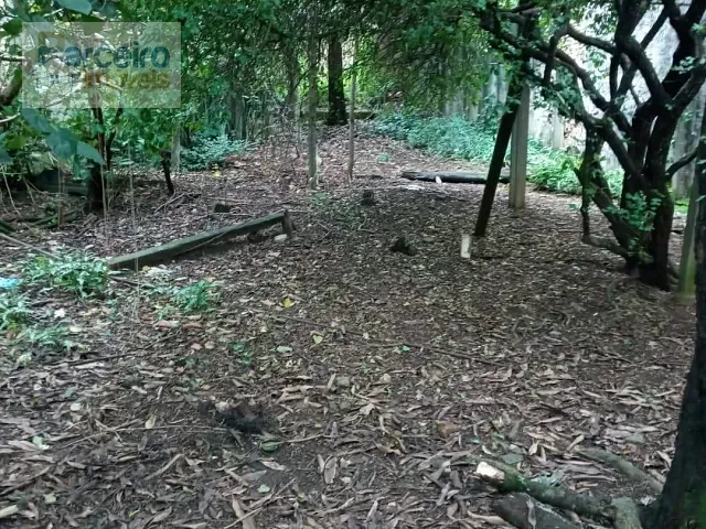 Terreno com 412m², à venda, no bairro Chácara Santo Antônio (Zona Leste) em São Paulo