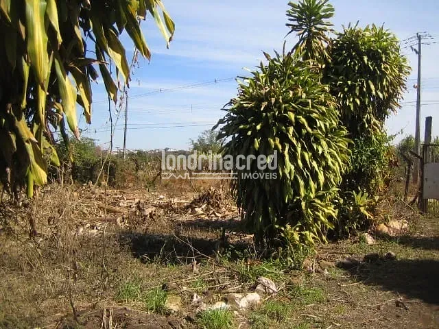 Terreno com 300m², à venda, no bairro Indústrias Leves em Londrina