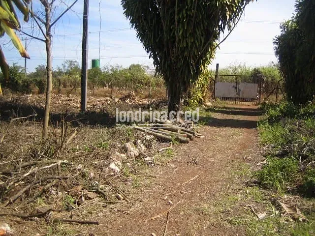 Terreno com 300m², à venda, no bairro Indústrias Leves em Londrina