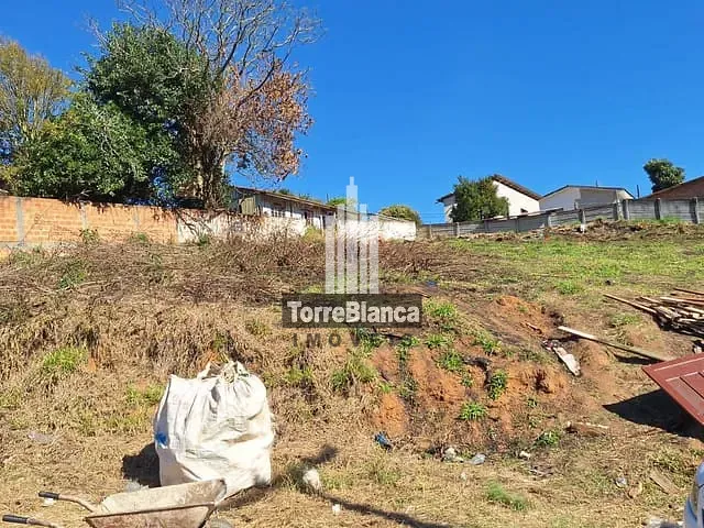 Terreno com 403m², à venda, no bairro Órfãs em Ponta Grossa