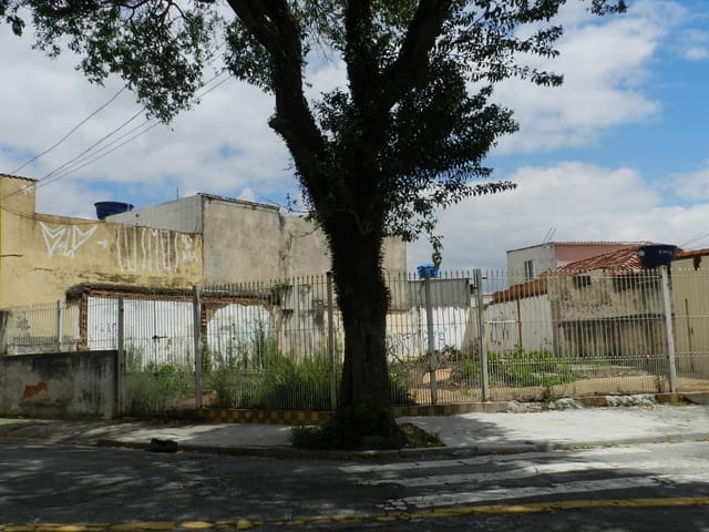 Foto do Terreno - Terreno residencial à venda, Vila Guilhermina, São Paulo. | ZONA LESTE IMÓVEIS