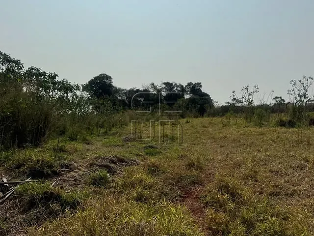 Terreno com 3018m², à venda, no bairro Parque Universidade em Londrina