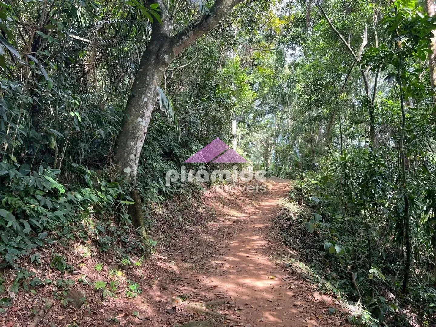 Terreno, 4000 m² - Foto 20