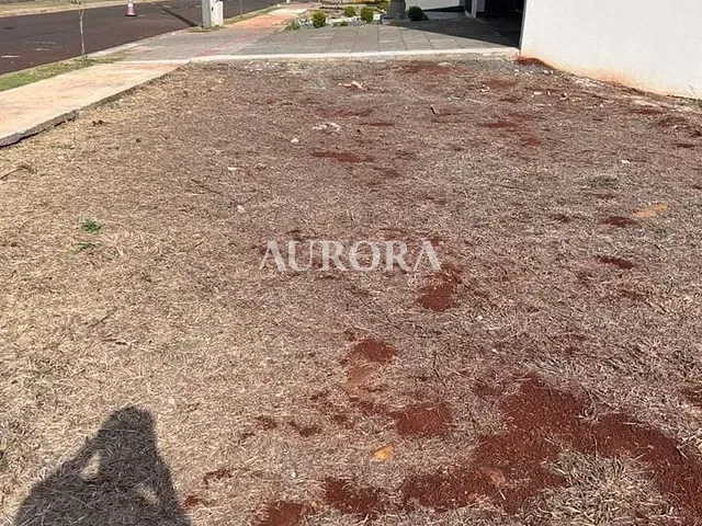 Terreno com 257m², à venda, no bairro Jardim Morumbi em Londrina