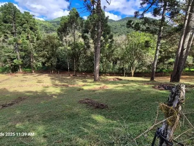 Terreno à venda, no bairro Campo Magro em Campo Magro