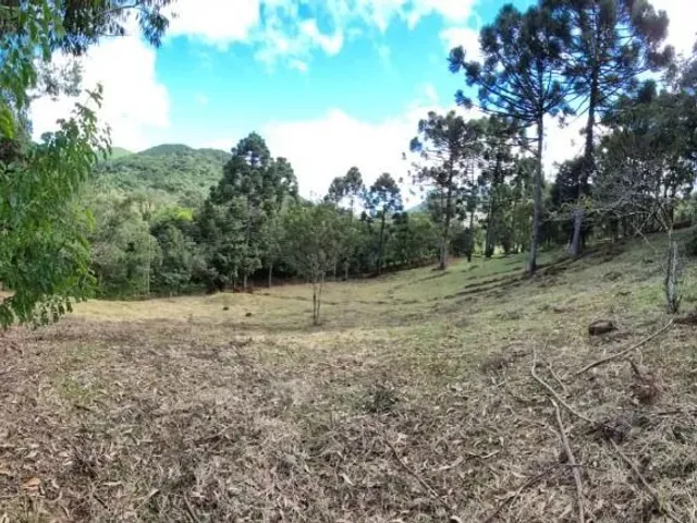 Terreno à venda, no bairro Campo Magro em Campo Magro