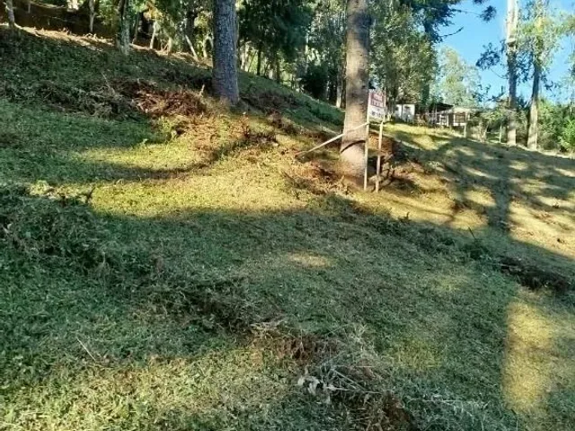 Terreno à venda, no bairro Campo Magro em Campo Magro
