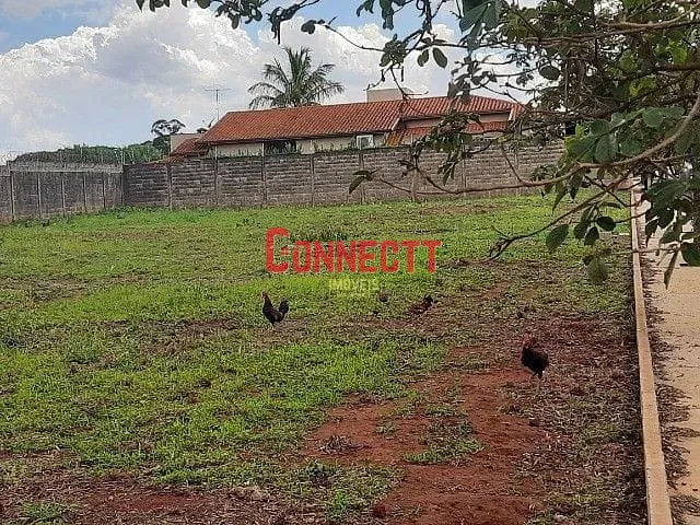Terreno com 988m², à venda, no bairro Vila Cristal em Brodowski
