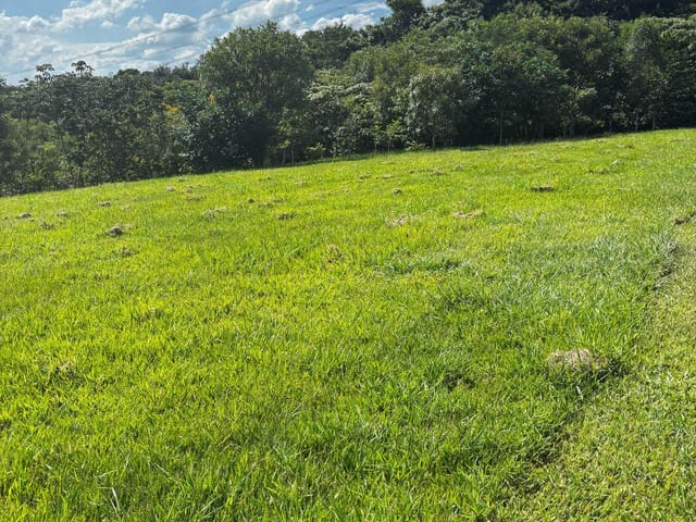 Terreno com 10000m², à venda, no bairro Fazenda boa vista em Porto Feliz