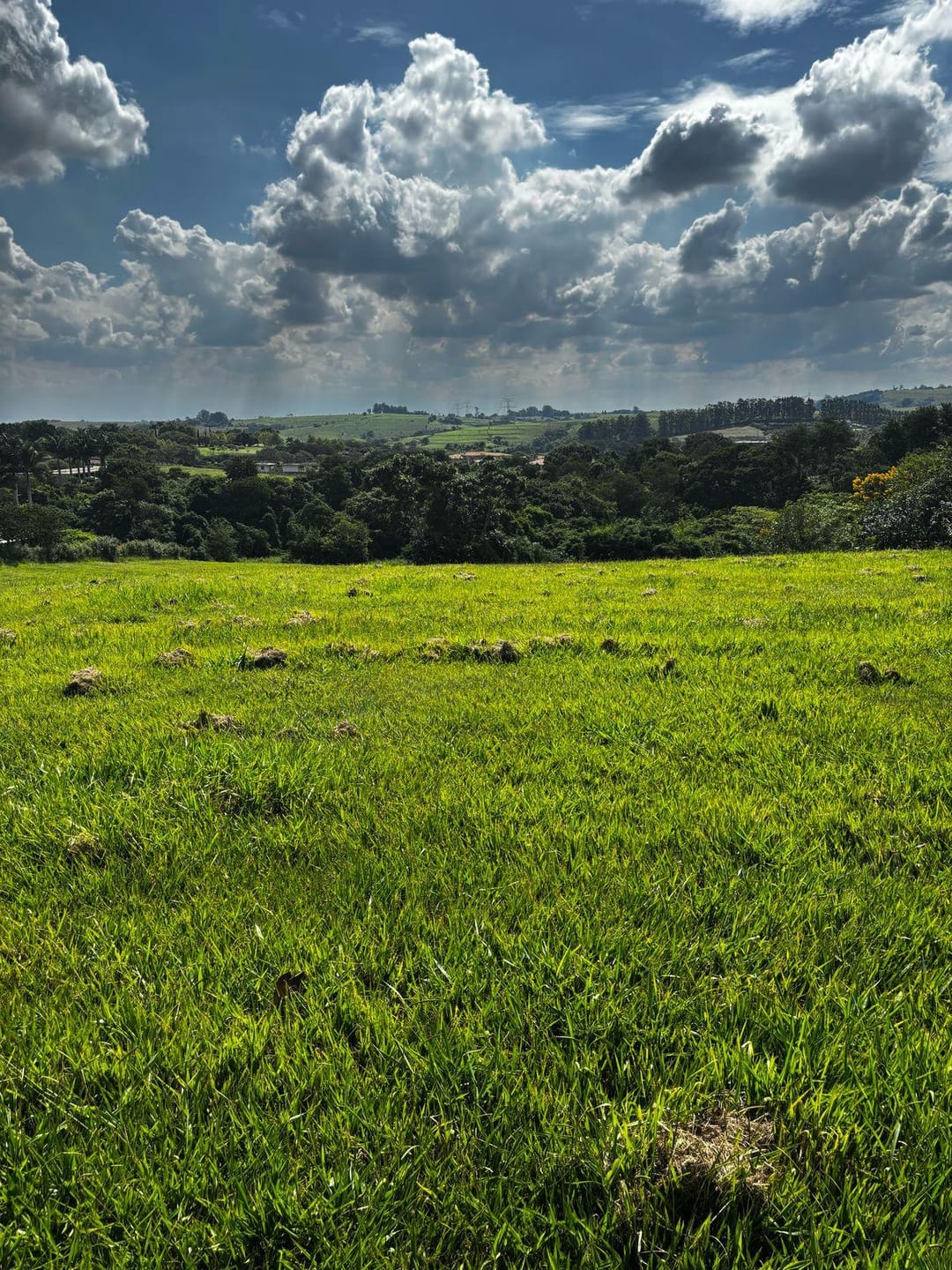 Terreno em Centro — foto 2