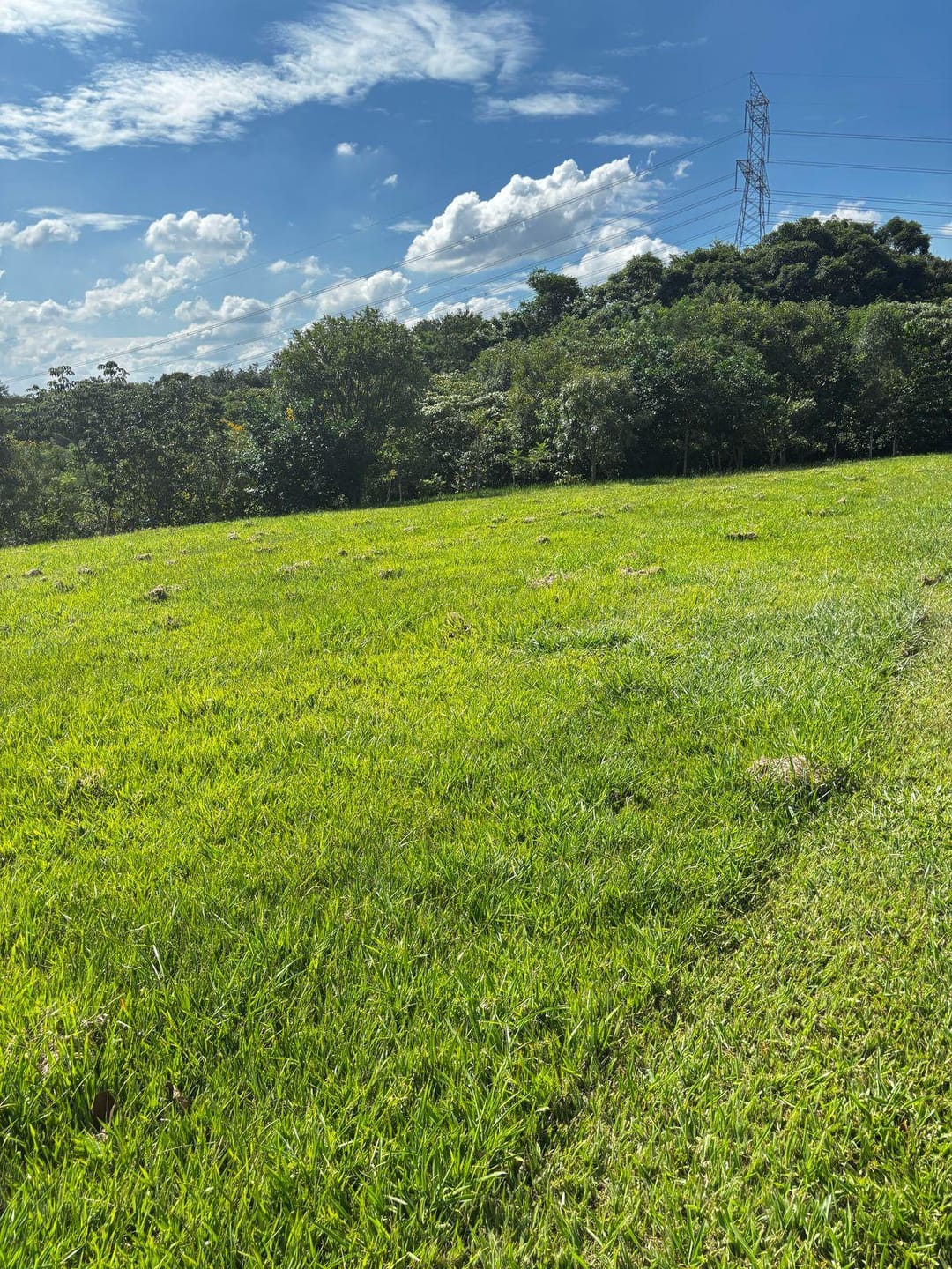 Terreno em Centro — foto 3