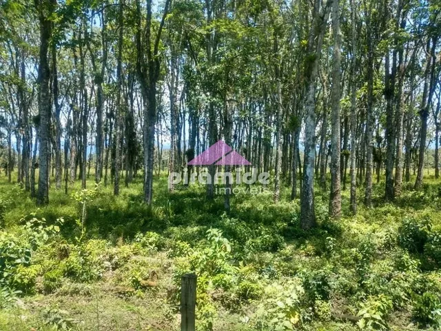 Terreno com 30000m², à venda, no bairro Barranco Alto em Caraguatatuba
