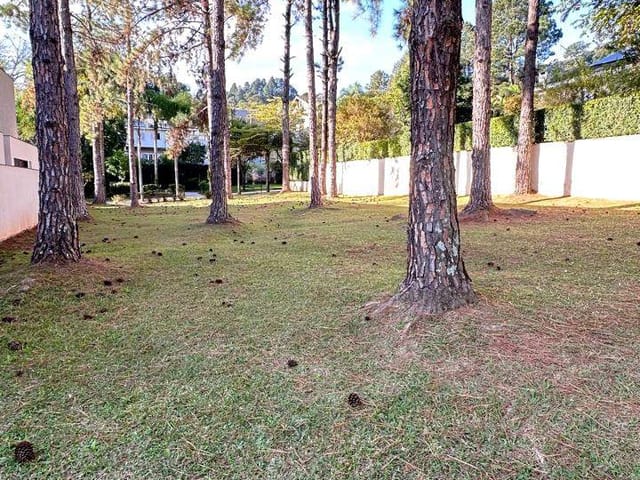 Terreno com 740m², à venda, no bairro Alphaville em Santana de Parnaíba