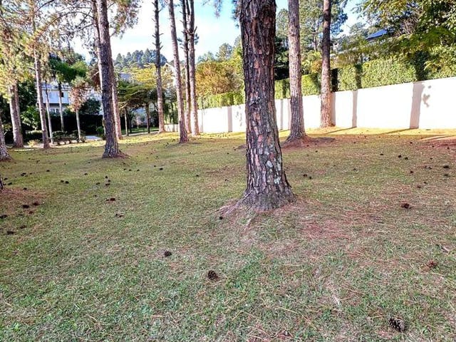 Terreno com 740m², à venda, no bairro Alphaville em Santana de Parnaíba