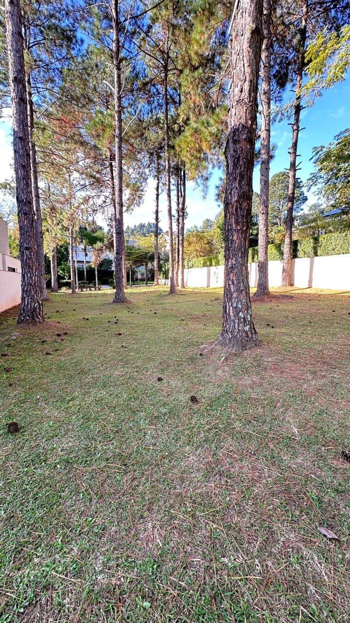 Terreno em Alphaville — foto 3