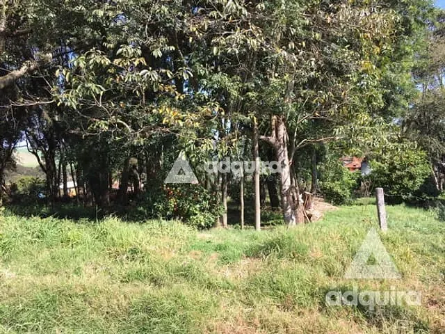 Terreno com 1716m², à venda, no bairro Centro em Carambeí