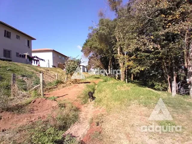 Terreno com 1716m², à venda, no bairro Centro em Carambeí