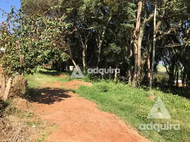 Terreno com 1716m², à venda, no bairro Centro em Carambeí
