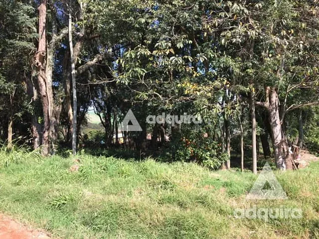 Terreno com 1716m², à venda, no bairro Centro em Carambeí