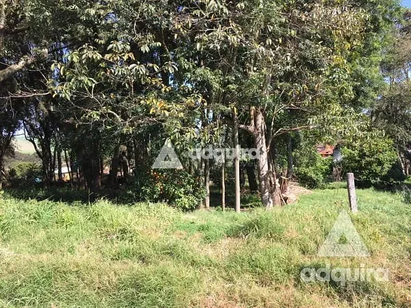 Terreno, 1716 m² - Foto 5