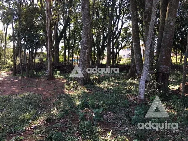 Terreno, 1716 m² - Foto 6