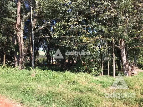 Terreno, 1716 m² - Foto 3