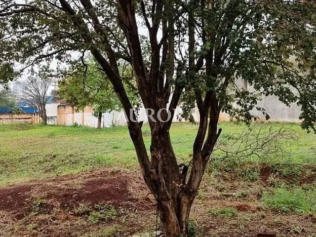 Terreno com 800m², à venda, no bairro Agari em Londrina