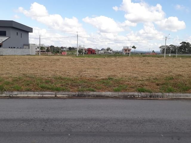 Foto do Terreno - Terreno à venda, 250 m² por R$ 320.000,00 - Jardim das Flores - São José dos Campos/SP | INDEPENDENCE NEGOCIOS IMOBILIARIOS LTDA