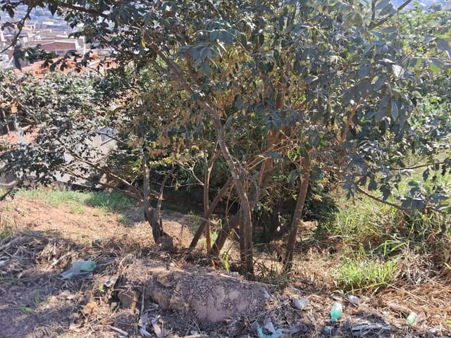 Terreno com 225m², à venda, no bairro Chácara Roselândia em Cotia