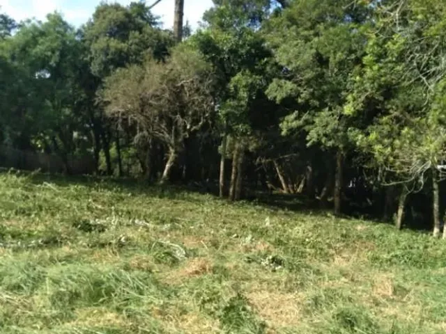 Terreno à venda, no bairro Santa Felicidade em Curitiba