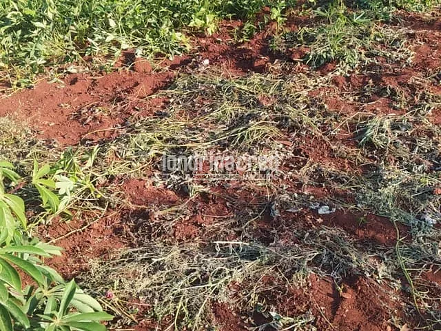 Terreno com 255m², à venda, no bairro Jardim Barcelona em Londrina
