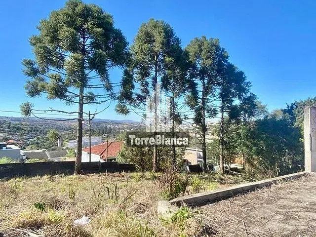 Terreno com 1386m², à venda, no bairro Olarias em Ponta Grossa