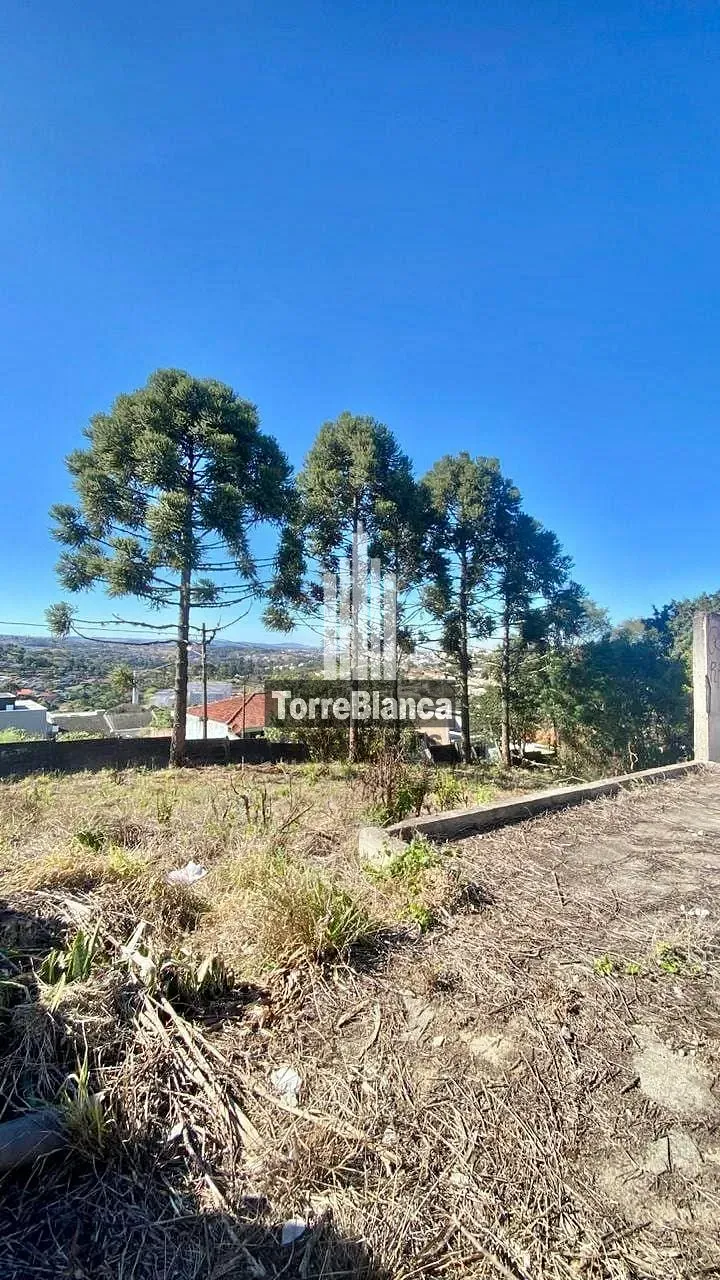 Terreno, 1386 m² - Foto 3