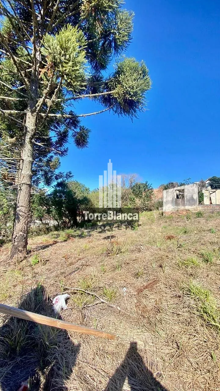 Terreno, 1386 m² - Foto 4