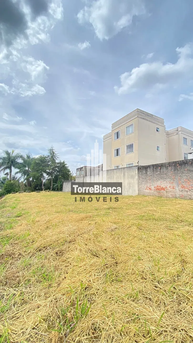 Terreno, 588 m² - Foto 3
