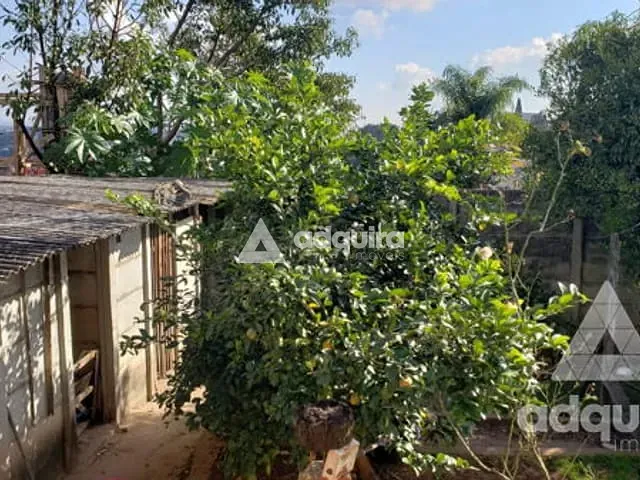 Terreno 4 quartos e 2 banheiros, à venda, no bairro Centro em Ponta Grossa