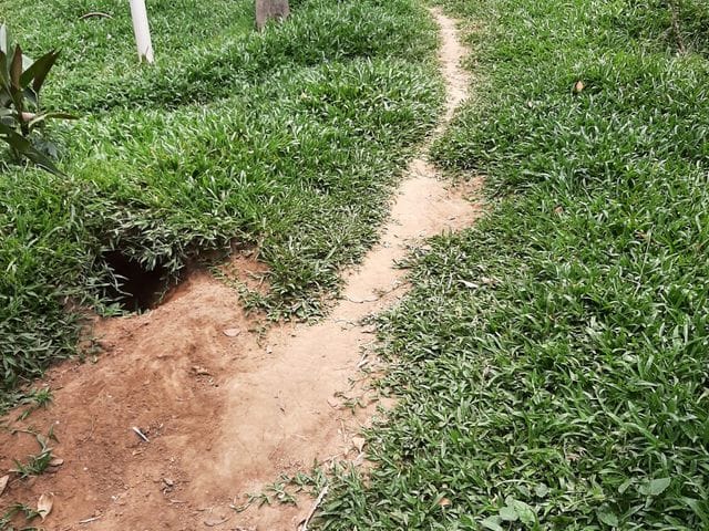 Terreno com 150m², à venda, no bairro Vila Irmãos Arnoni em São Paulo